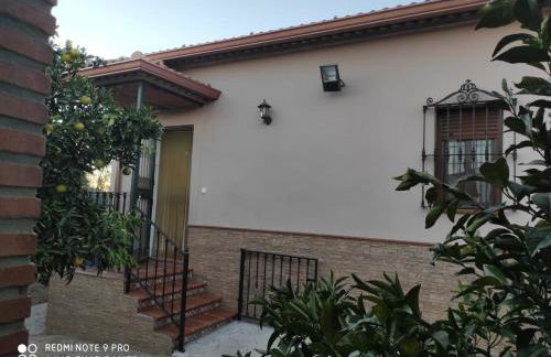 LOS ABUELOS - Foto 37