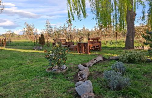 Appartamento Rosa Bianca A Vada - Foto 8