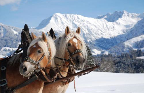 Landhaus Aigner-Vogler - Foto 7