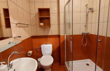 Bacówka Biały Jeleń - Photo 44