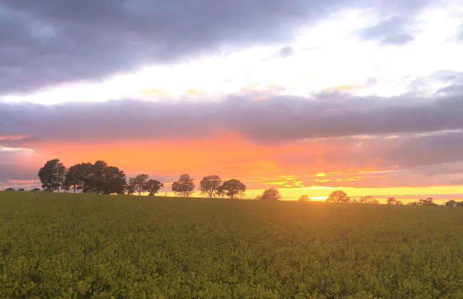 Villa Maria Garden Cottages - Foto 31