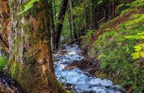 Apartment Franciska - Foto 22