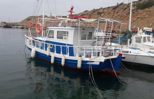 xanthoula's house - Foto 5