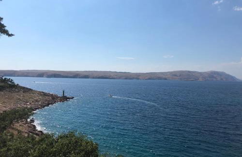 2Bfree Apartments - Photo 39