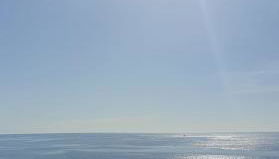 Acqua di Mare - Foto 4