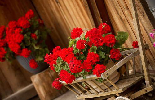 Ferienwohnungen Kuentnerhof - Foto 22