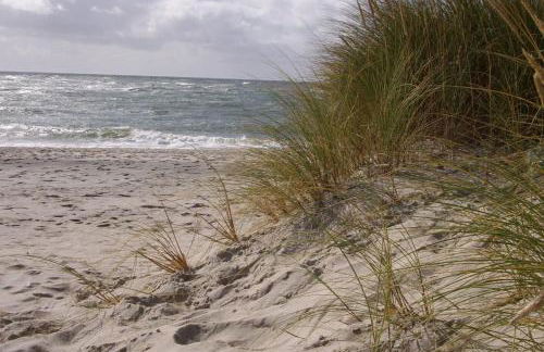 Ruhetal -Ferienwohnung mit Sonnenterasse - Foto 26