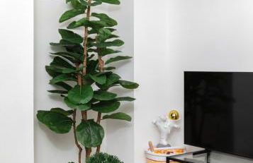 Camden apartments - Foto 5