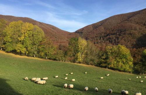 Casa Rural Lenco - Foto 54