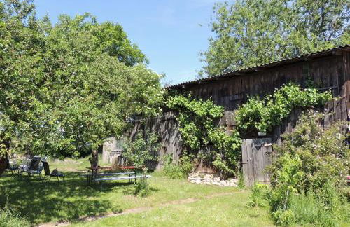 Kranichruf - Photo 1