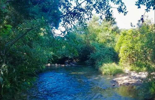 Alto de Torrecillas - Photo 38