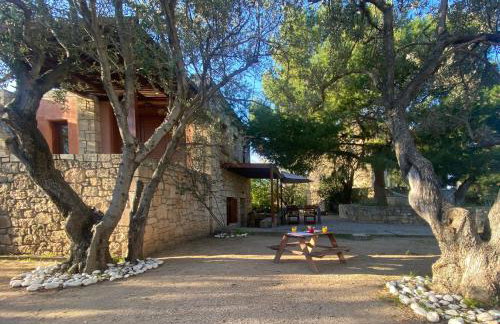 PYRGOS RALLI ESTATE Guesthouse - Foto 79