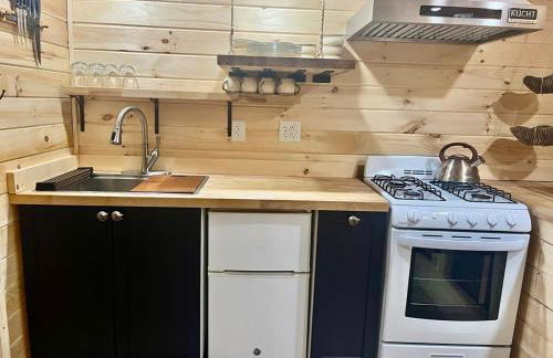 Loza house adirondack screened-in porch unit lake front - Foto 23