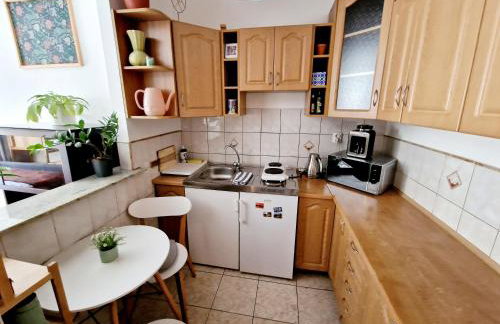 INNY Apartament Rynek Opole - Foto 30