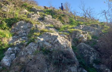 Autenticum Agriturismo Tolfa - Foto 20