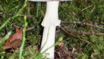 Residence Vis à Vis - Foto 2