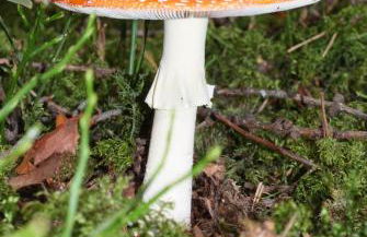 Residence Vis à Vis - Foto 2