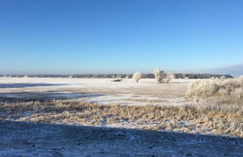 Elbauen-Chalet - Foto 42