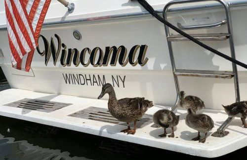 Charming Yacht on Catskill Creek - Foto 10