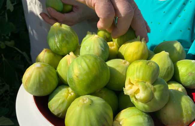 Palazzo Greco B&B - Foto 47