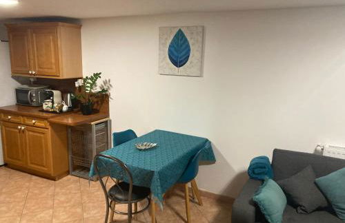 Gîte urbain au calme en rez de jardin proche Groupama stadium salle Arena EUREXPO Lyon - Foto 13