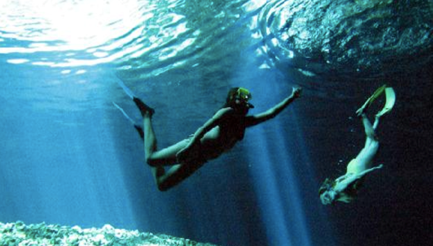 Snorkel in Menorca's Marine Reserve by Speedboat from Fornells - Small Group Tour - Photo 2