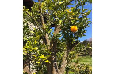 OZAMIZ Urdaibai - Foto 19