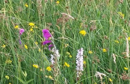 Ferienhof Olbasee - Foto 48