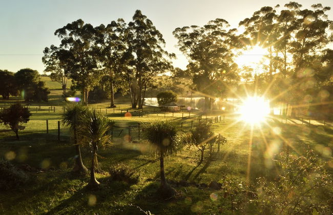 Diamond Forest Farm Stay - Foto 46