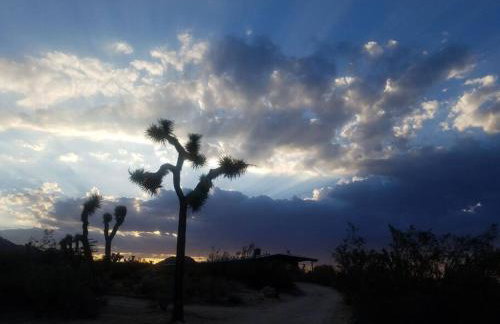 Steph's Panorama Paradise-Nat'l Park minutes away - Foto 68