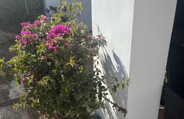 A little paradise - Foto 52