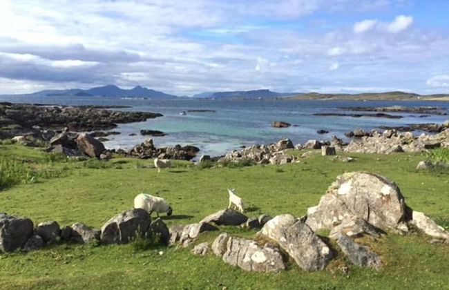 Steading Holidays - Eilean Feoir - Foto 16