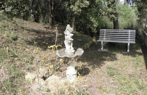 Les bananiers - Foto 22