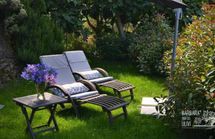 Barbara tra gli Ulivi - Foto 43