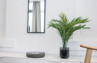 Glashaus mit 3 Gästezimmer - Foto 18