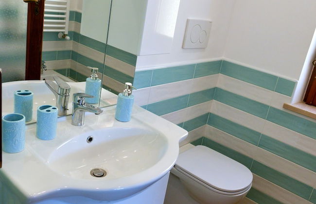 Sofia flora - Photo 60