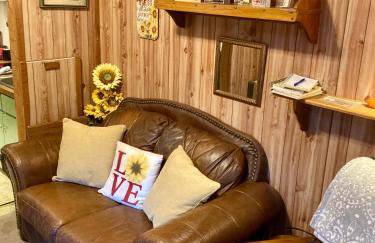 Sunnybrook Cabin, wooded, private with stream, near ATV trails - Foto 11