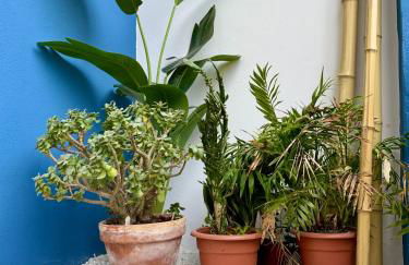 Oasis De Confort Urbano Vigo - Foto 8