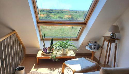 Les 3 mésanges - Foto 3