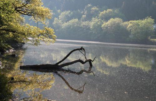 Ferienhaus Lara - Foto 46