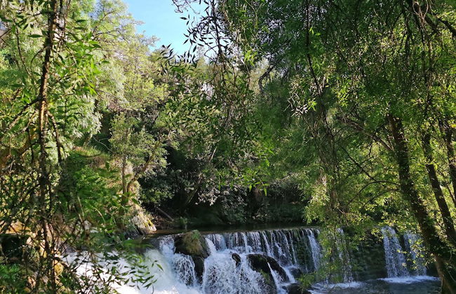 Acea do Bubal As Nenas - Foto 23