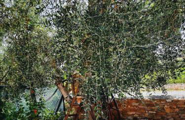 Angelo's Country House - Foto 33