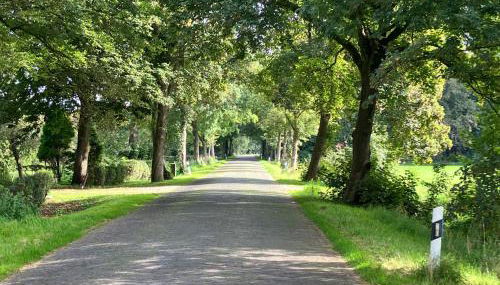 Ferienwohnung Bruns - Foto 3