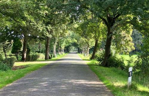 Ferienwohnung Bruns - Foto 3