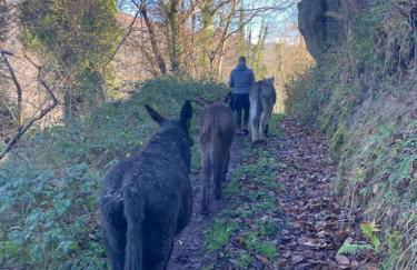 La Naranxa - Foto 18