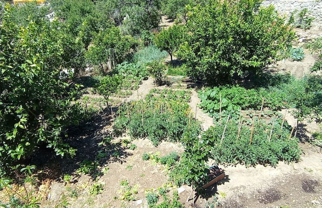 Kardelen apart Mesudiye - Foto 45