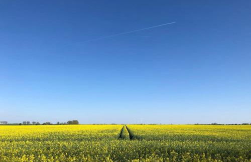 Großzügige Gutshaus-Wohnung nahe Saale und Elbe - Foto 20