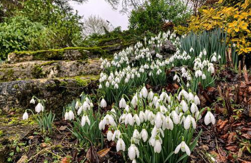 18th Century Farmhouse, England Wales Border, Breathtaking Views - Foto 41