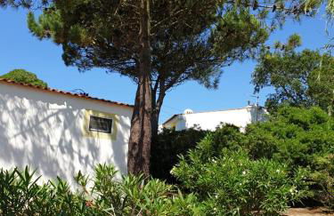 Sondela Self Catering - Foto 32