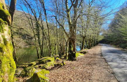 Chalet LE BAUSOY - Foto 14